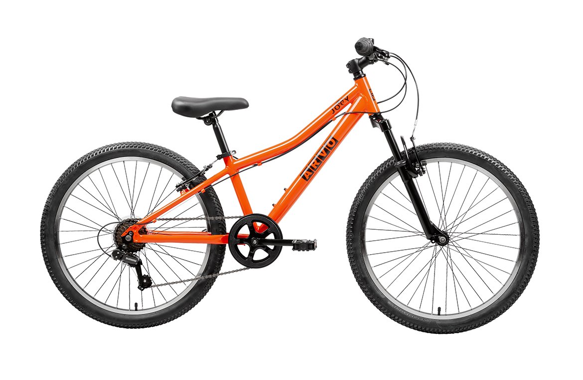 avigo mountainbike 24 zoll Joey 24" MTB Kids Bike – Arvo