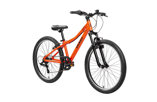 Joey 24" MTB Kids Bike