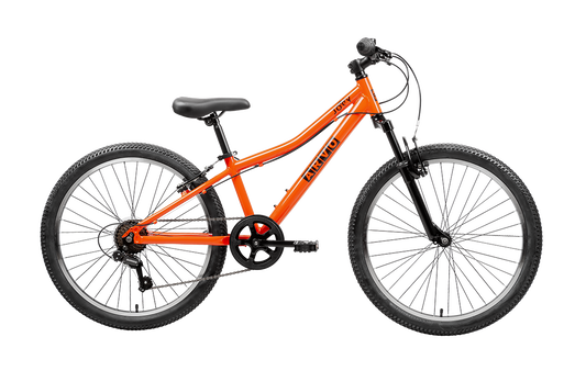 Joey 24" MTB Kids Bike