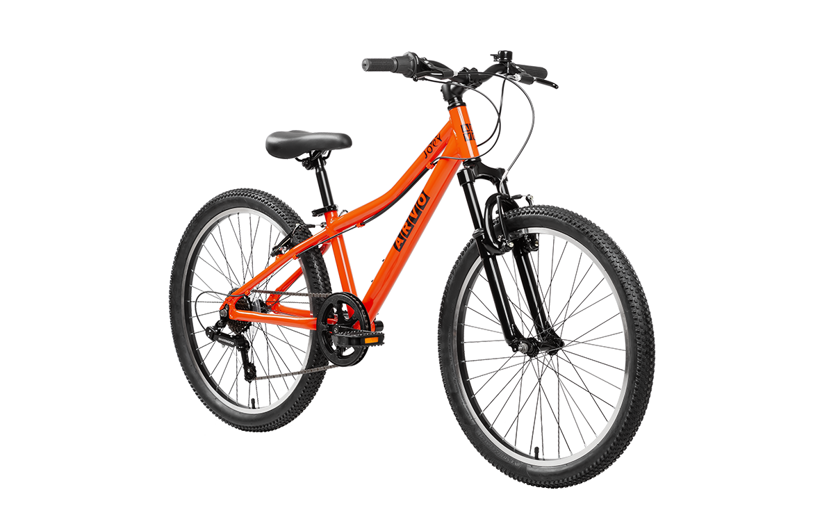 Joey 24" MTB Kids Bike