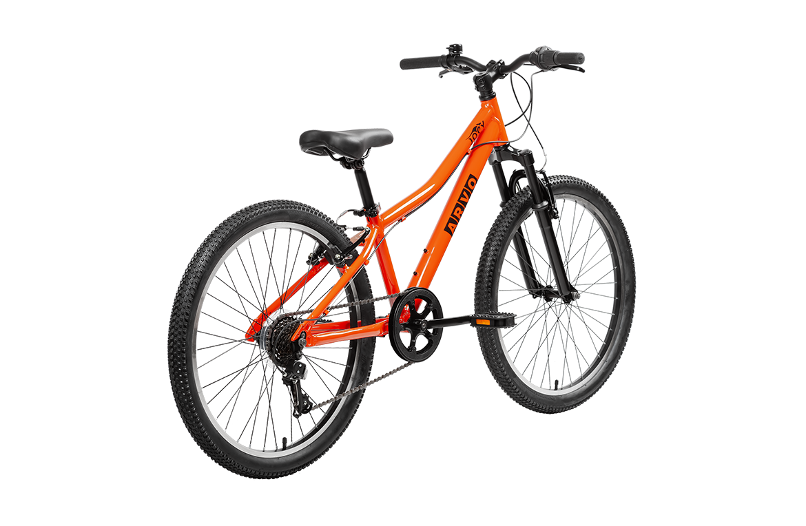 Joey 24" MTB Kids Bike